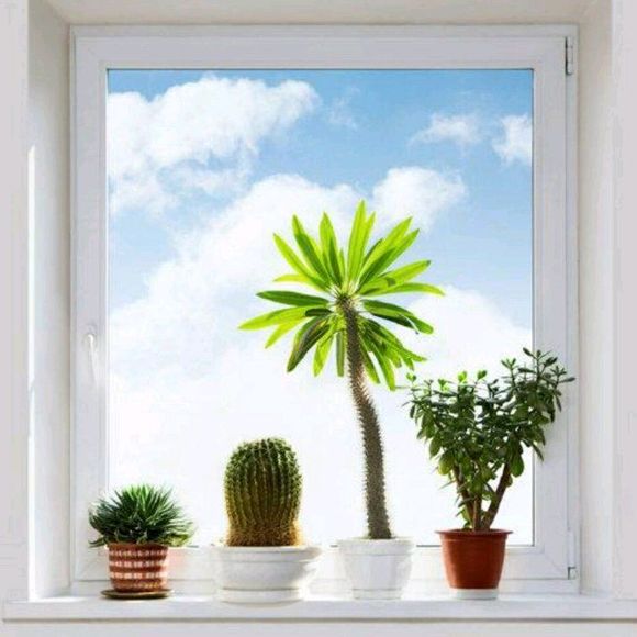 Meet your Posher, Ester - Picture 1 of 1